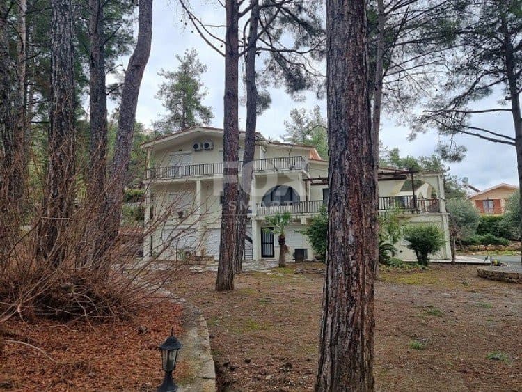 10 Bedroom Detached House for Sale in Limassol, Moniatis