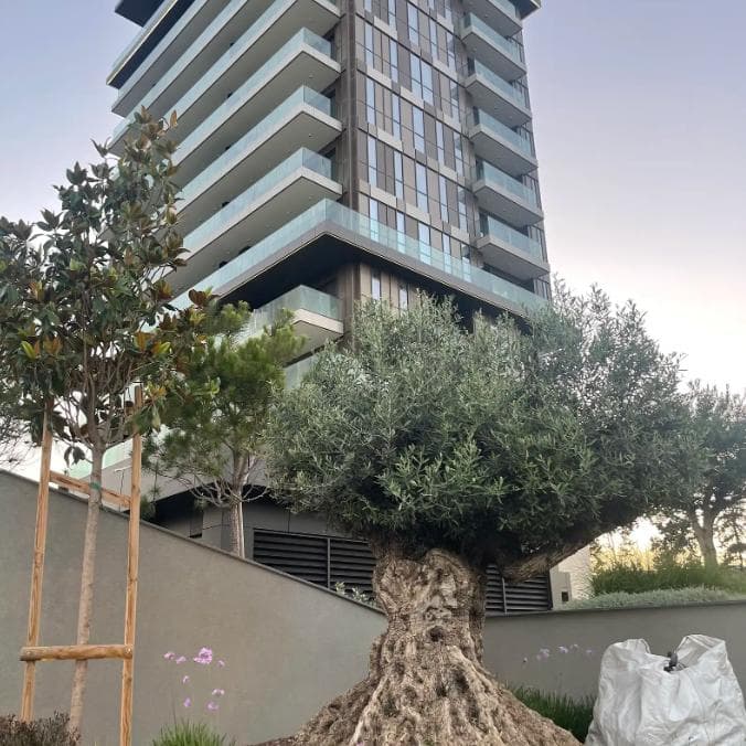 2-bedrooms apartments for long term rent in Limassol, Cyprus