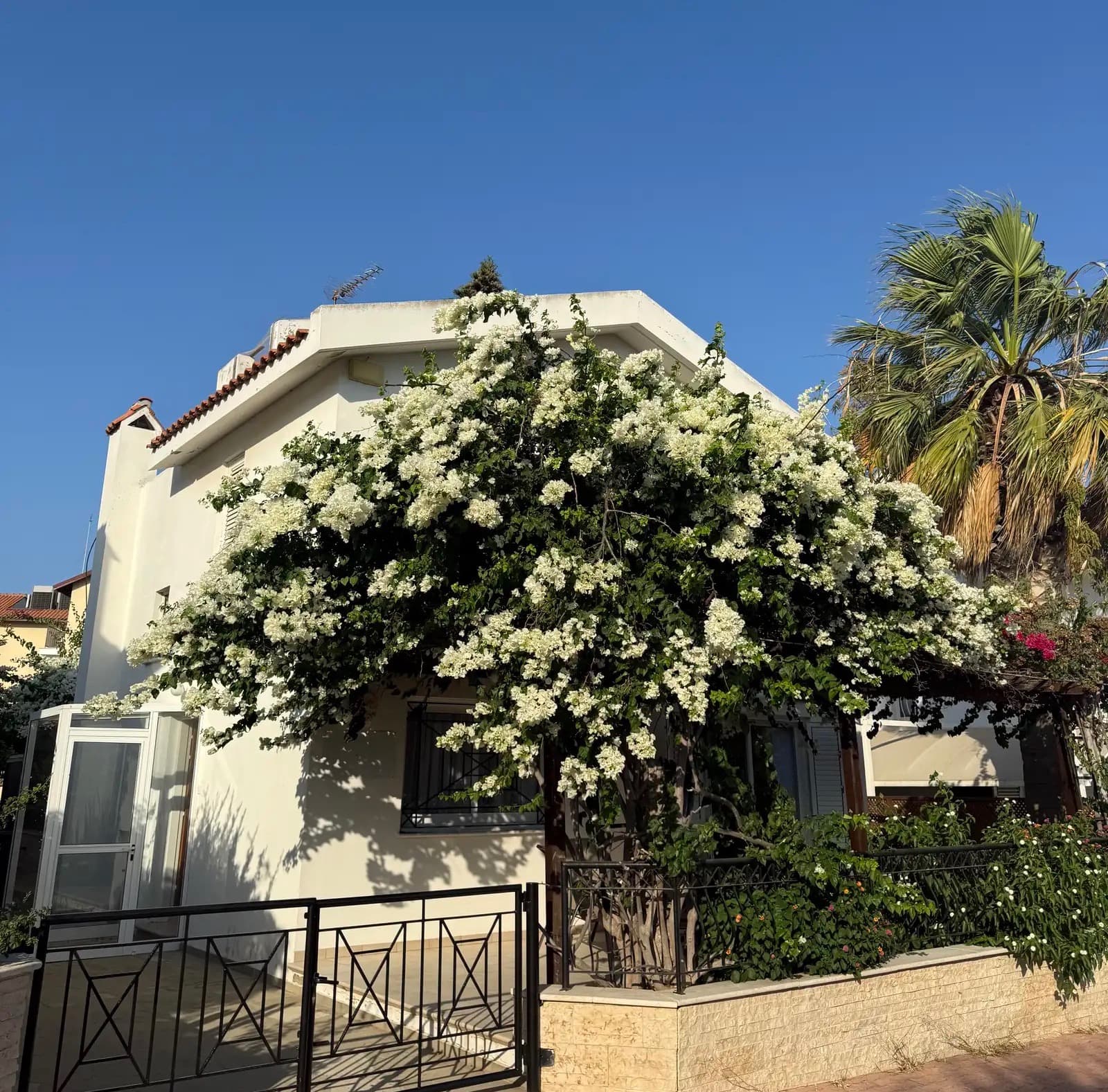 3-bedrooms house for long term rent in Famagusta, Cyprus